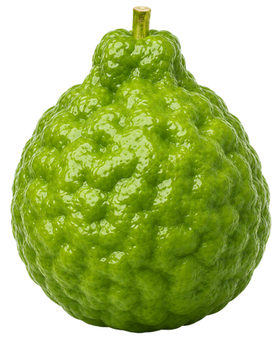 Citrus